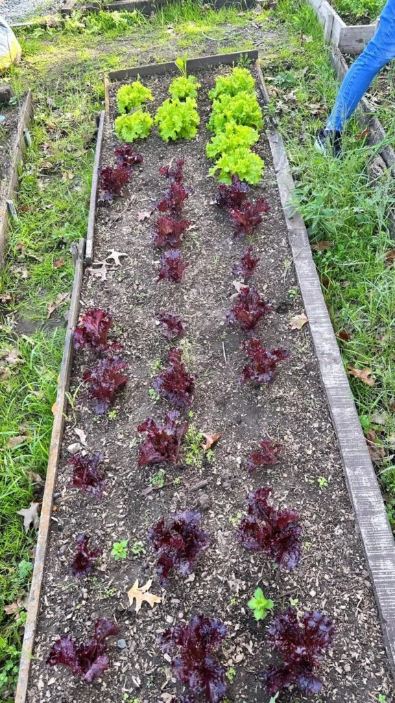Nicole Neumann mostró como luce actualmente su chacra