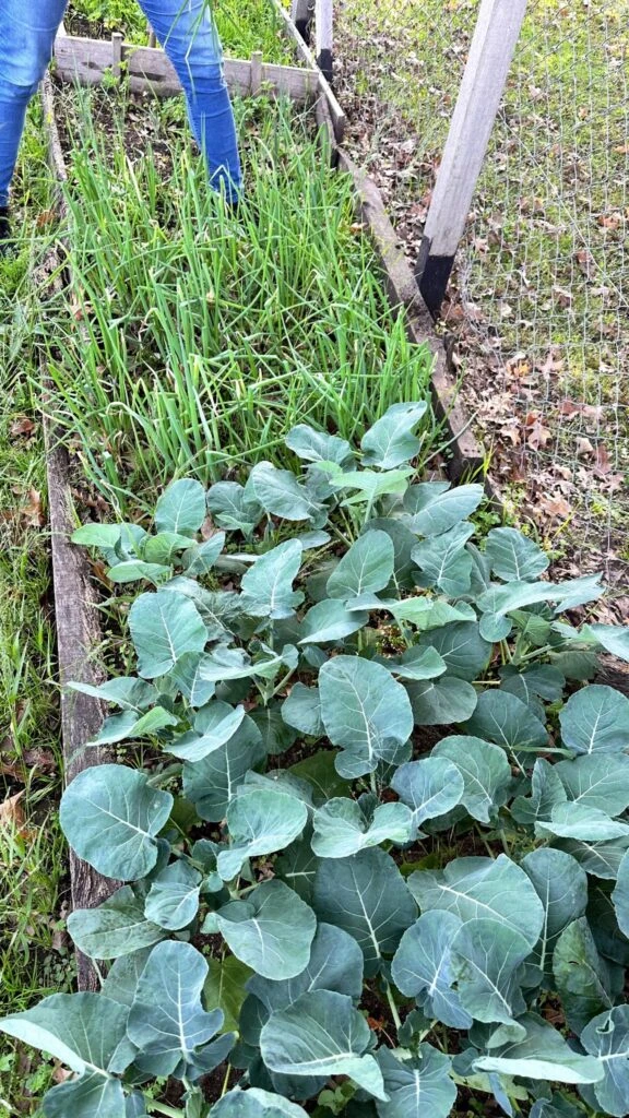 Nicole Neumann mostró como luce actualmente su chacra