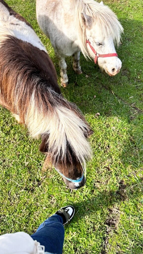 Nicole Neumann mostró como luce actualmente su chacra
