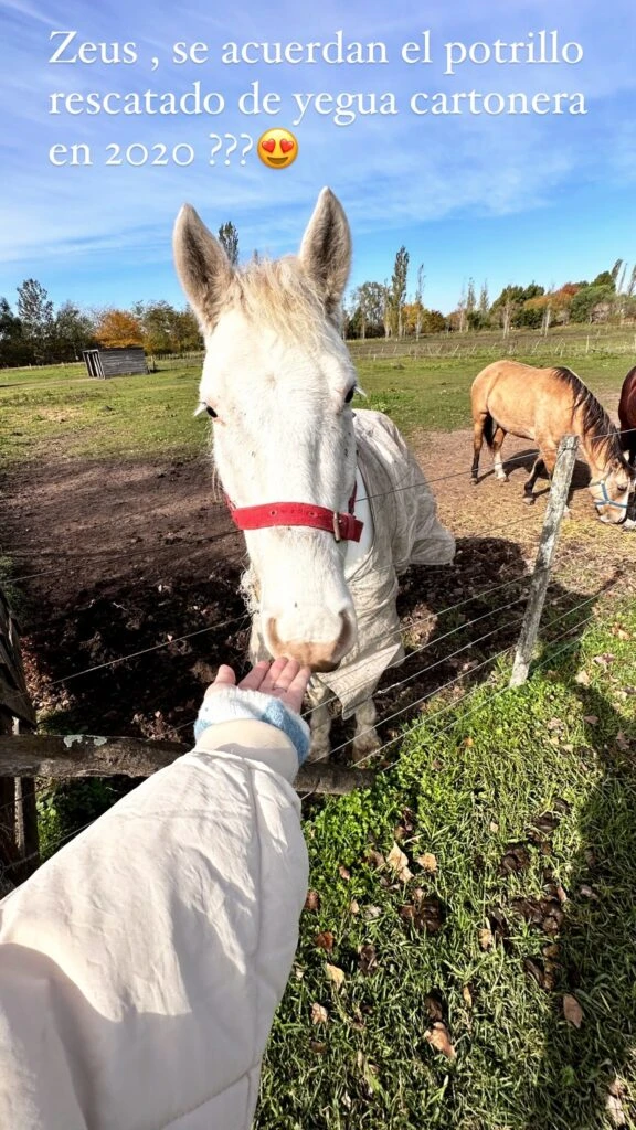 Nicole Neumann mostró como luce actualmente su chacra