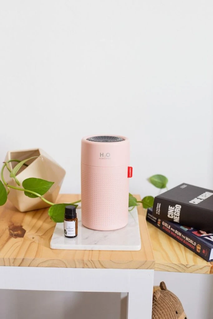 Cómo cuidar tus plantas en ambientes calefaccionados