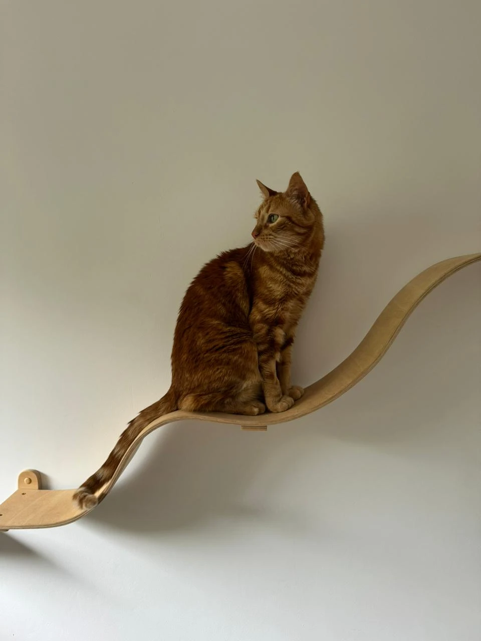 Las alturas deben ser cómodas, accesibles y con buena vista.