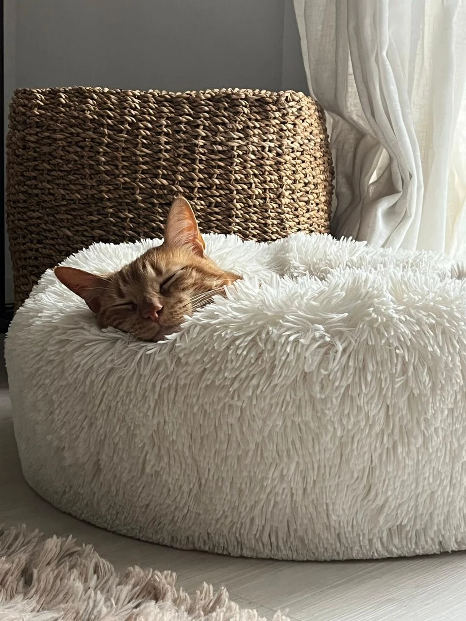 Paciencia y comprensión son pilares para construir un amoroso vínculo de convivencia. 