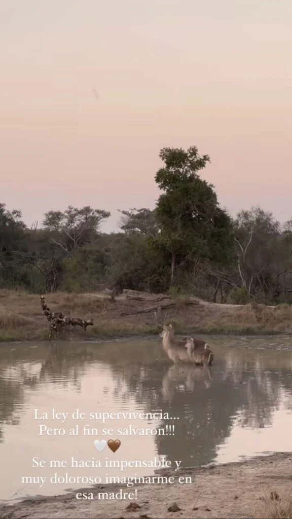 Las fotos de las vacaciones del Cholo Simeone y Carla Pereyra en África. Foto: Instagram. 