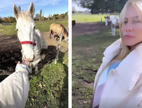 Nicole Neumann mostró cómo luce actualmente su chacra, donde alberga caballos y perros rescatados