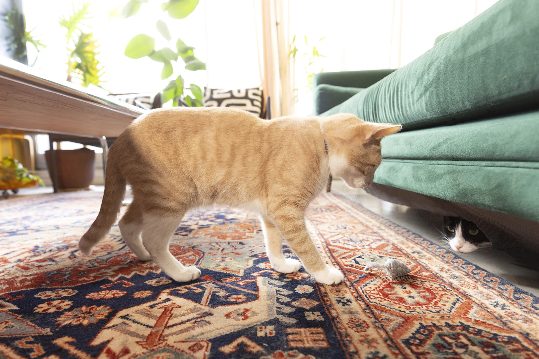 Felipe y Marta en su mundo depto compartido junto a Mati de Caro. 