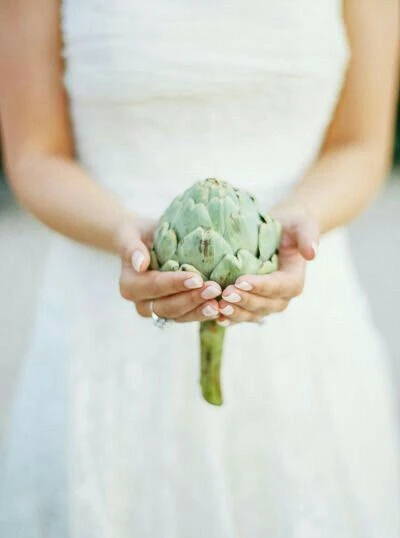 Alcauciles prebioticos