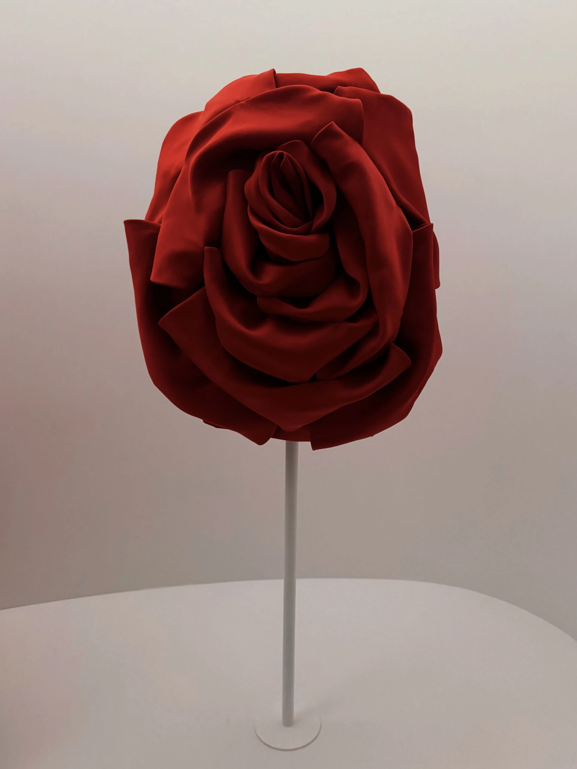 Ted Red Rose dressed