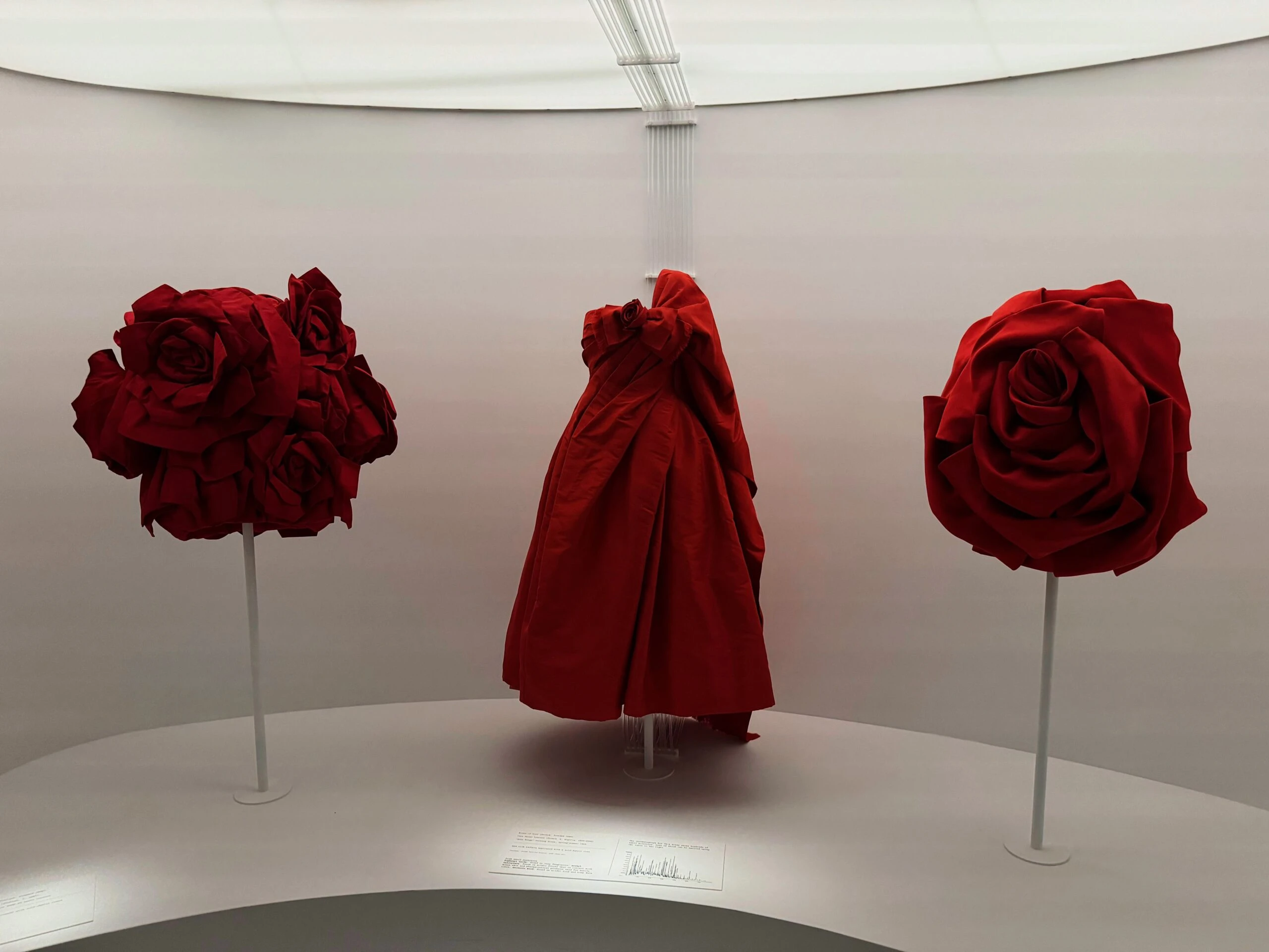 Ted Red Rose dressed