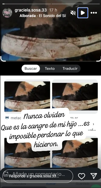 posteo de graciela la mama de fernando baez sosa