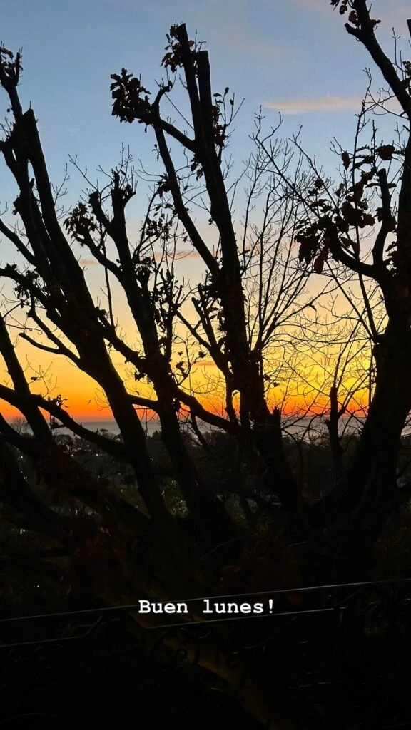 Juliana Awada y su mañana fit: entrenamiento y avocado toast