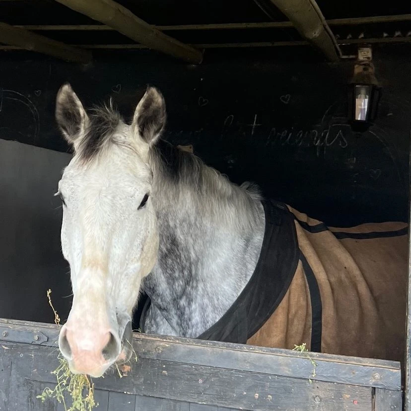 El look de Luca Cubero para festejar el Día del Padre