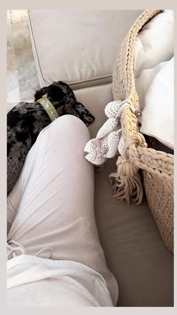 El moisés de Cruz, custodiado por una de las perritas de Nicole Neumann