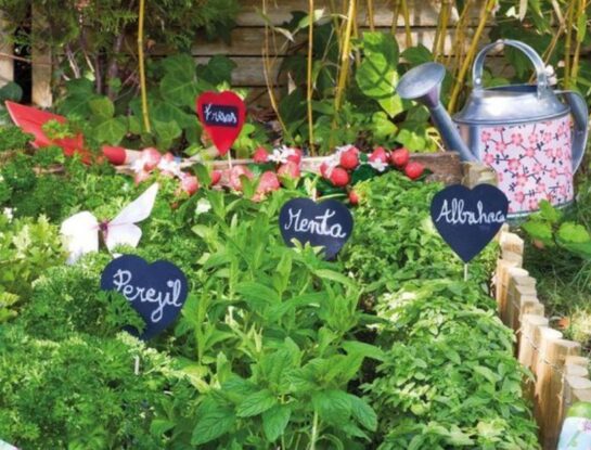 Huerta en casa: 7 plantas aromáticas que podés cultivar en invierno
