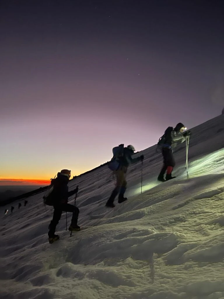 Belén Silvestris González
