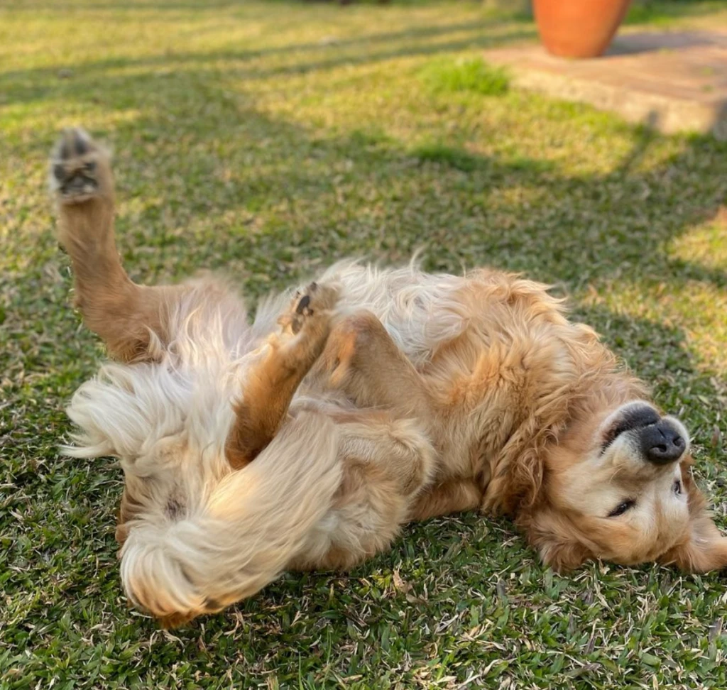 El durísimo momento que atraviesa Cachete Sierra: qué le pasó