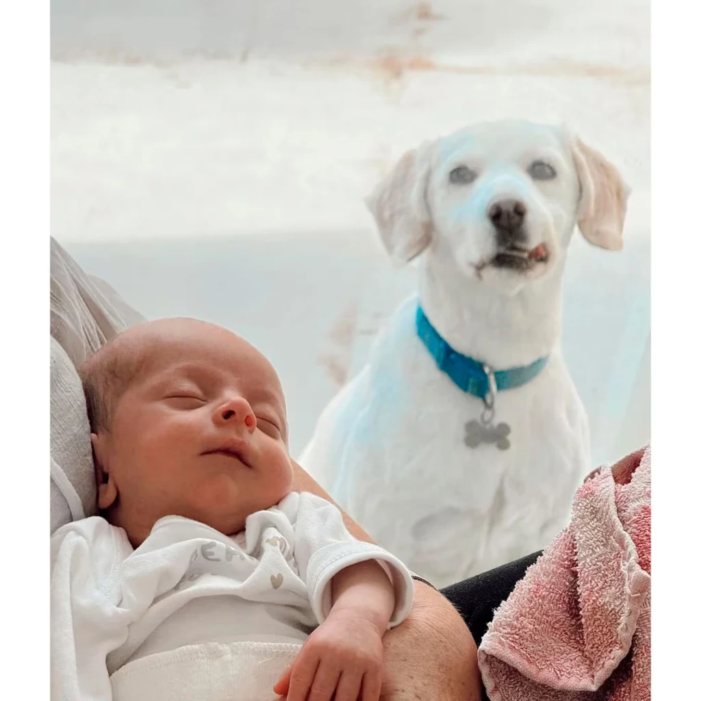 Las emotivas imágenes de Coni Mosquera para celebrar el crecimiento de su hijo con Alejandro Fantino