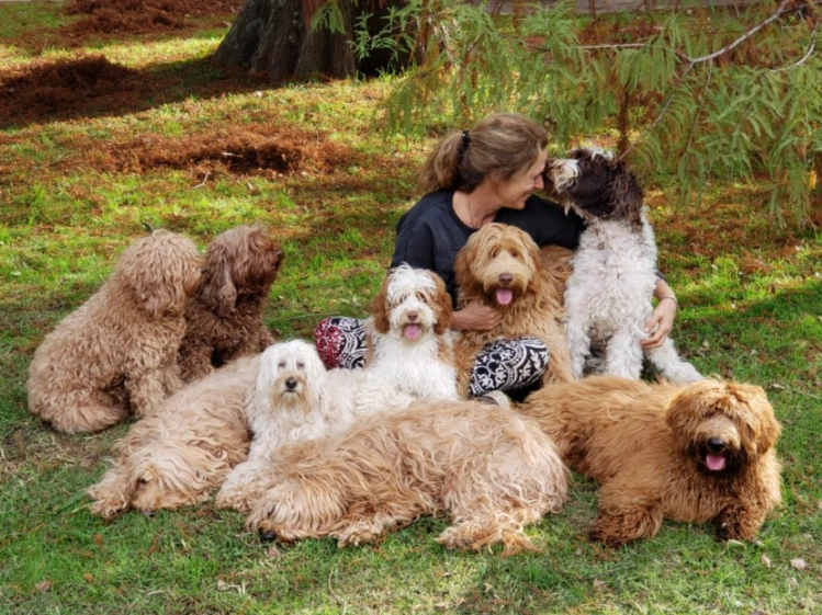 Qué son las Intervenciones Asistidas con Animales: la terapia más innovadora para el desarrollo de la discapacidad