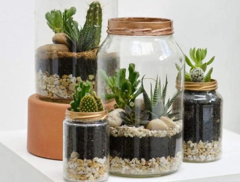 Terrarios: el objeto deco tendencia 2024