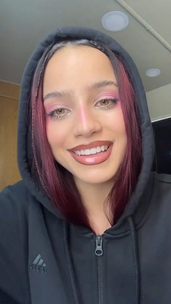 ombre lips dia del labial emilia mernes