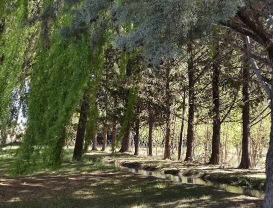 Un lugar mágico para conectarse con la naturaleza: una experiencia única para alejar el estrés y elevar tu energía