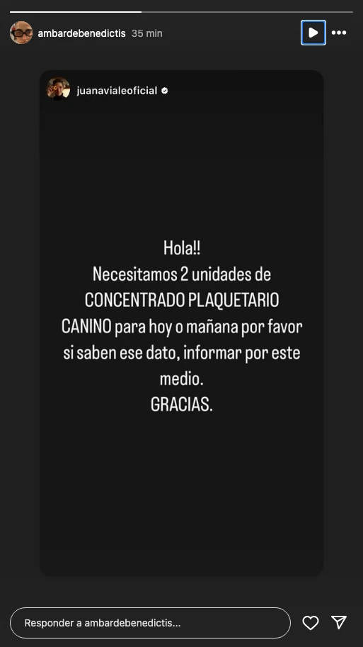 El pedido urgente de Juana Viale