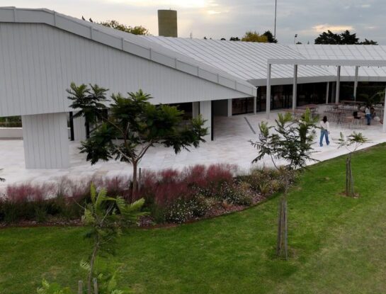 Manual de Jardinería: así diseñó una pradera la paisajista Clara Marré