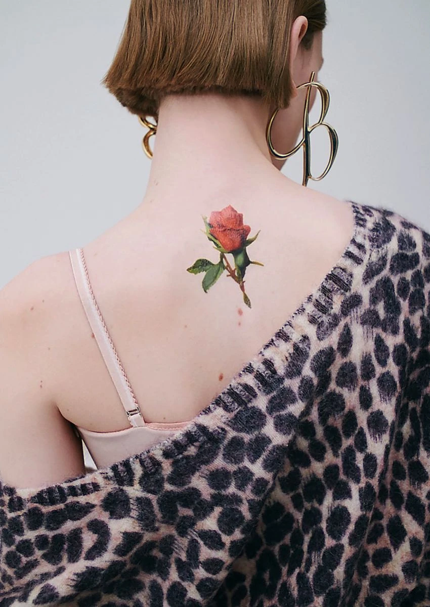 Colección Pre-Fall 2024 de Blumarine