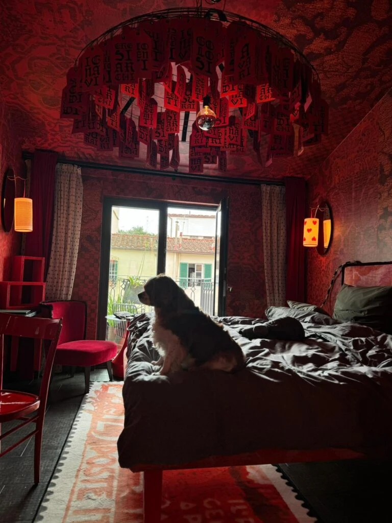 Andriana, la mascota de Gaby Alvarez, en la habitación del hotel, en Taormina.