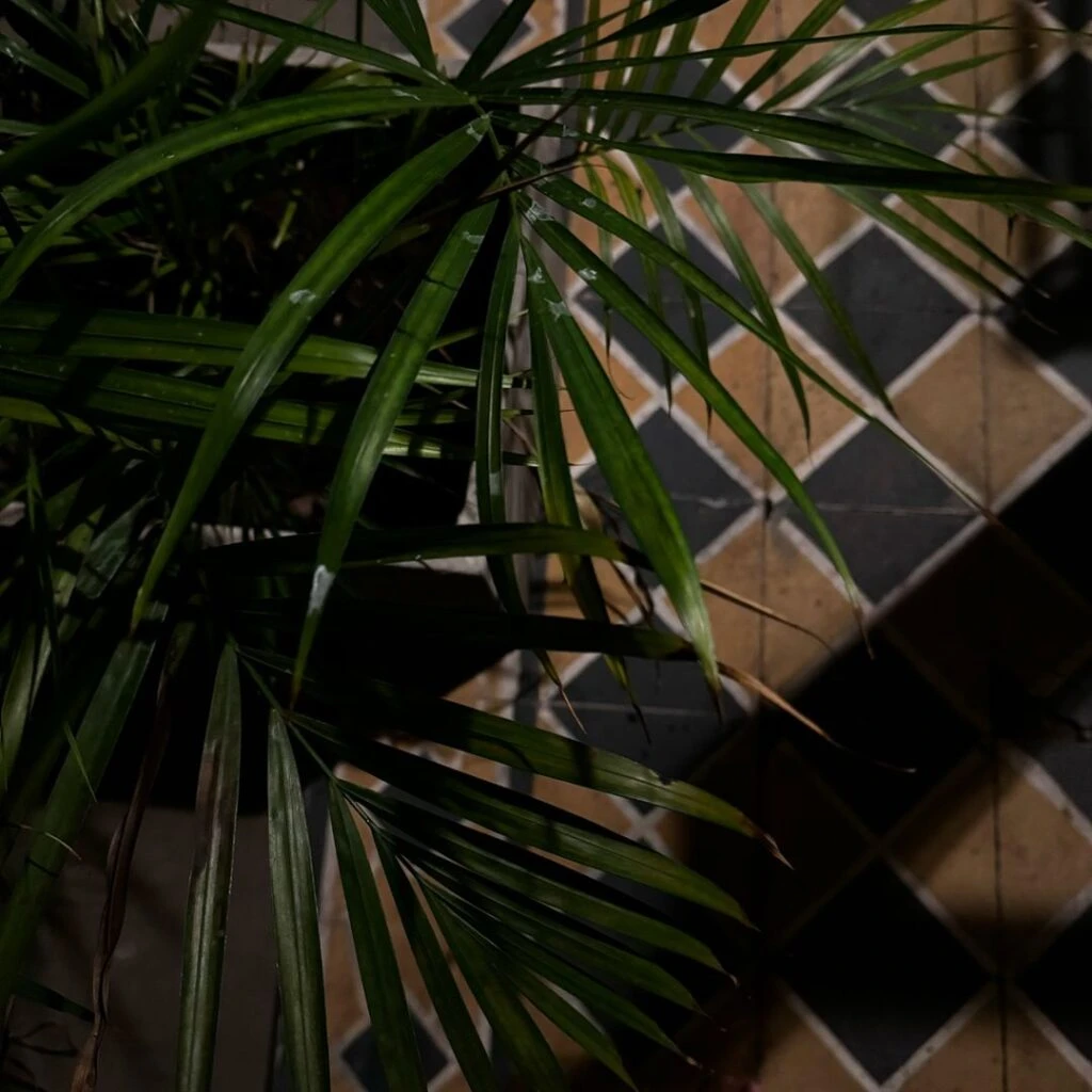 Yaco González mostró cómo remodeló la casa donde vivió con Agustina Posse