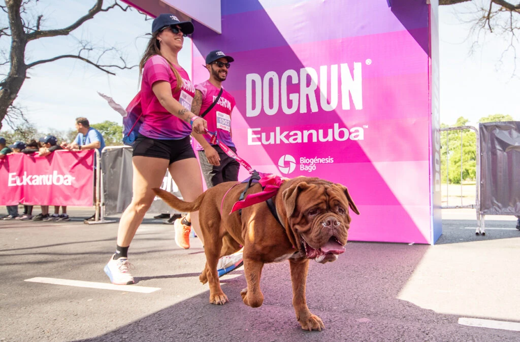 dogrun cuidado de mascotas