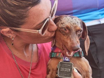 dogrun cuidado de mascotas