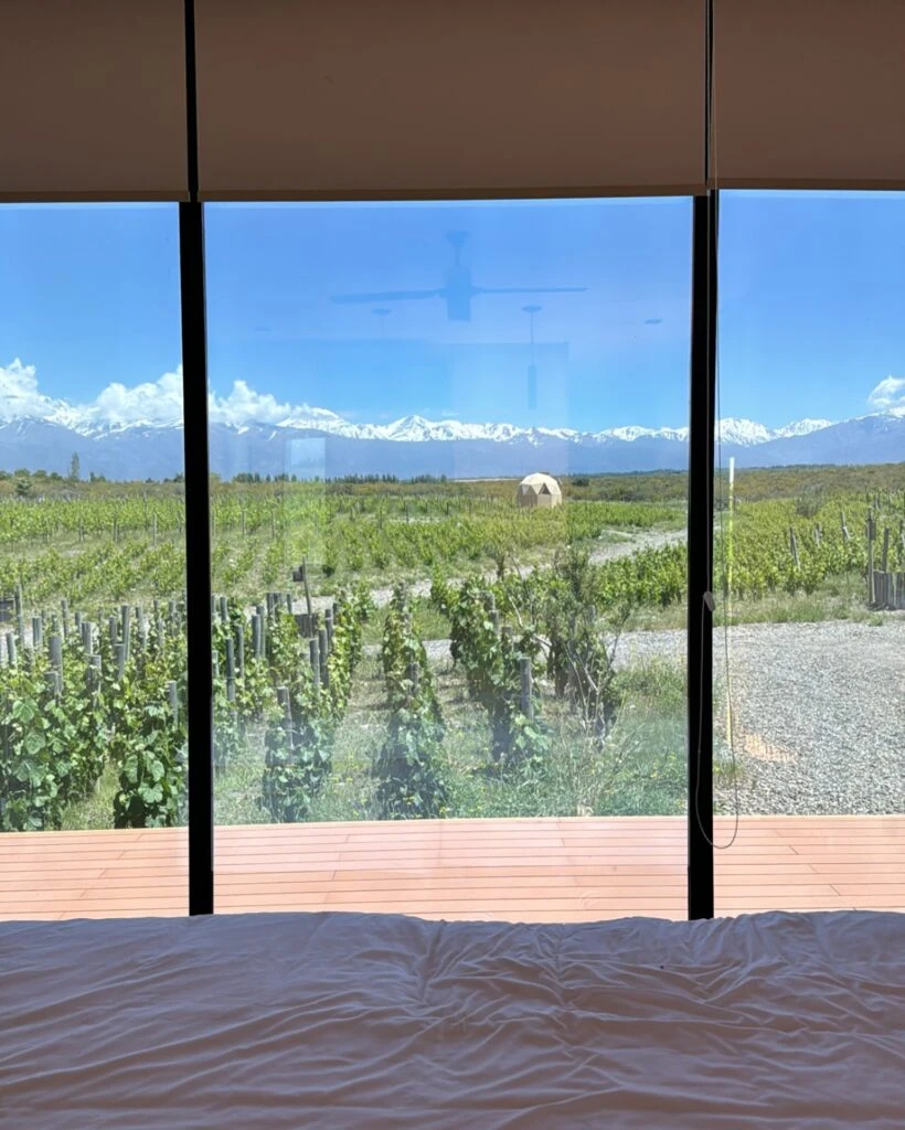 Las fotos de la escapada de Violeta Urtizberea junto a su familia a Mendoza. Foto: IG.