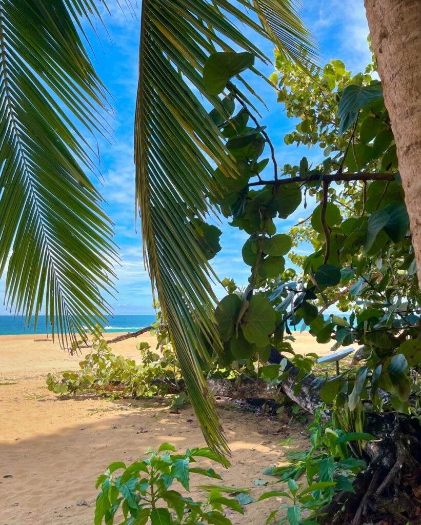 Las fotos de las vacaciones de Gime Accardi y Nico Vázquez en Panamá foto: ig