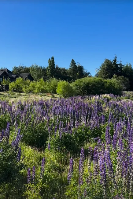 Jardín de Juliana Awada en Villa La Angostura