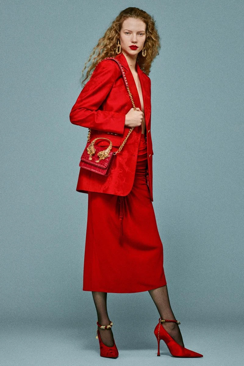 Roberto Cavalli 2025 Pre Fall