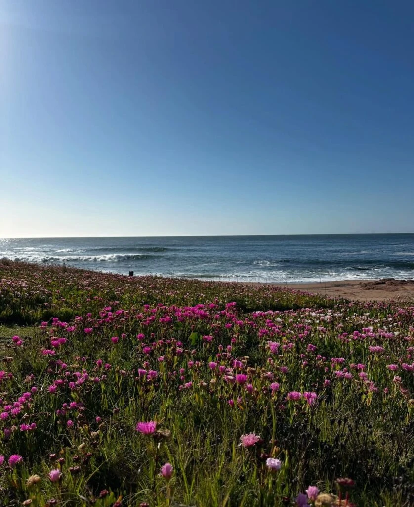 Las fotos del fin de semana de Juliana Awada en Uruguay
