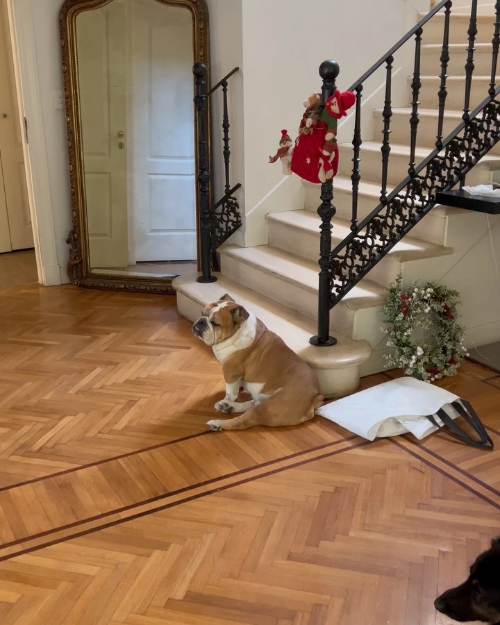 Catherine Fulop armó el árbol de Navidad en familia