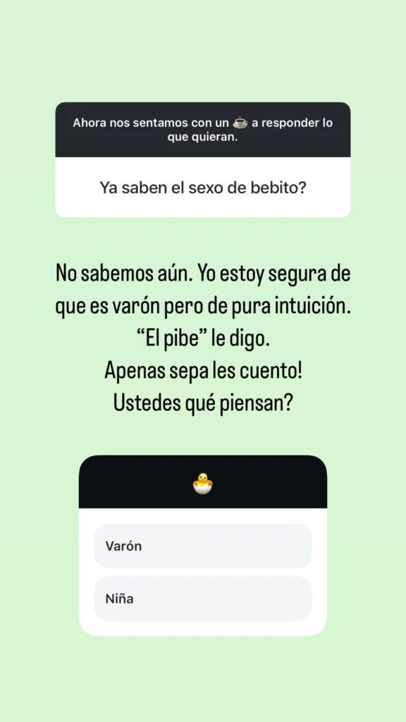 Jimena Barón contó detalles de su embarazo: el sexo, cómo se enteró, la fecha en la que nacerá y mucho más