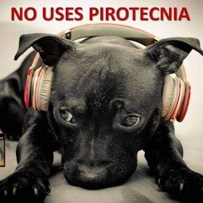 Cuando algo hace sufrir a otros ya no es divertido