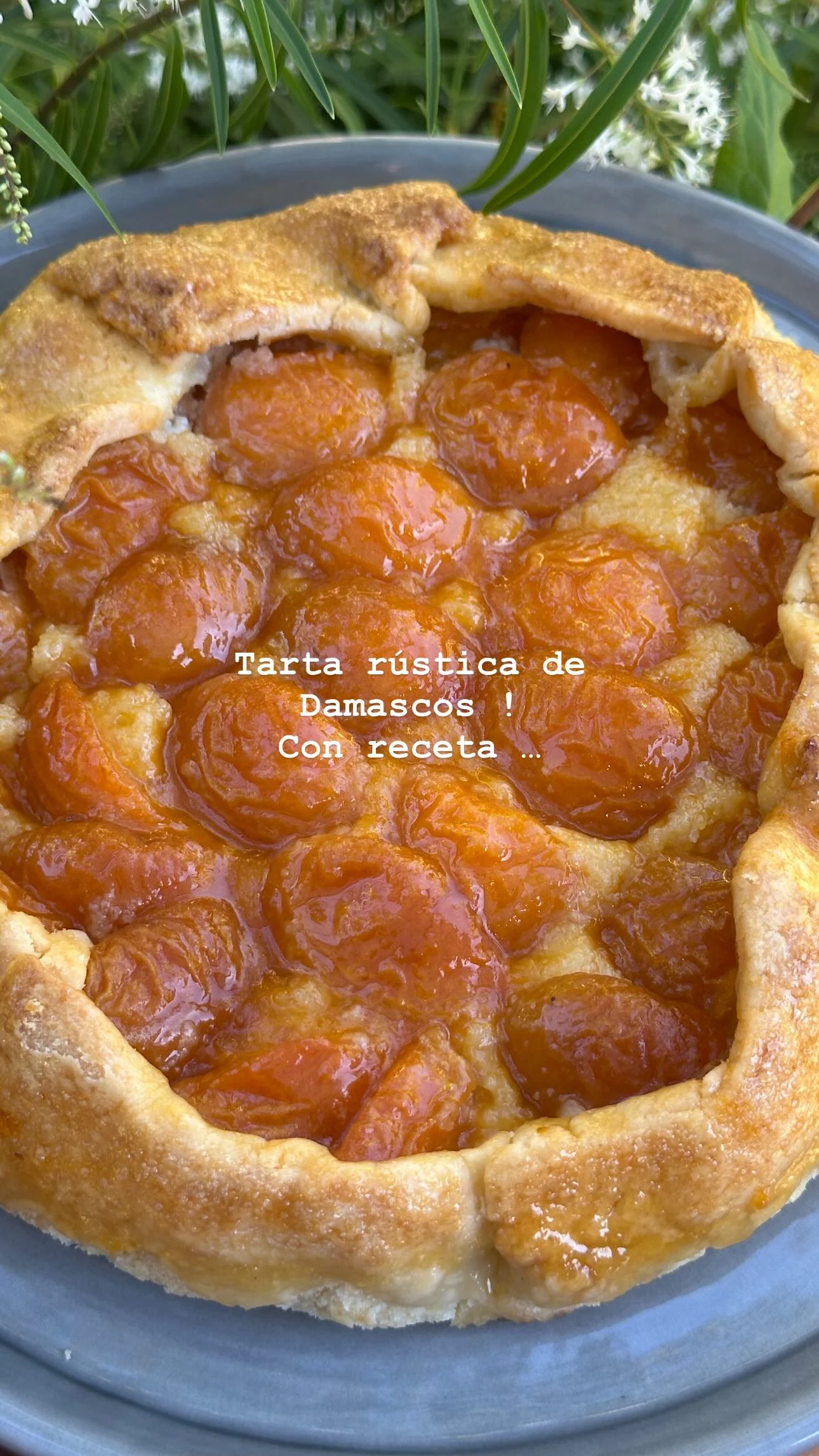 Tarta rústica de damascos, la receta de Juliana Awada