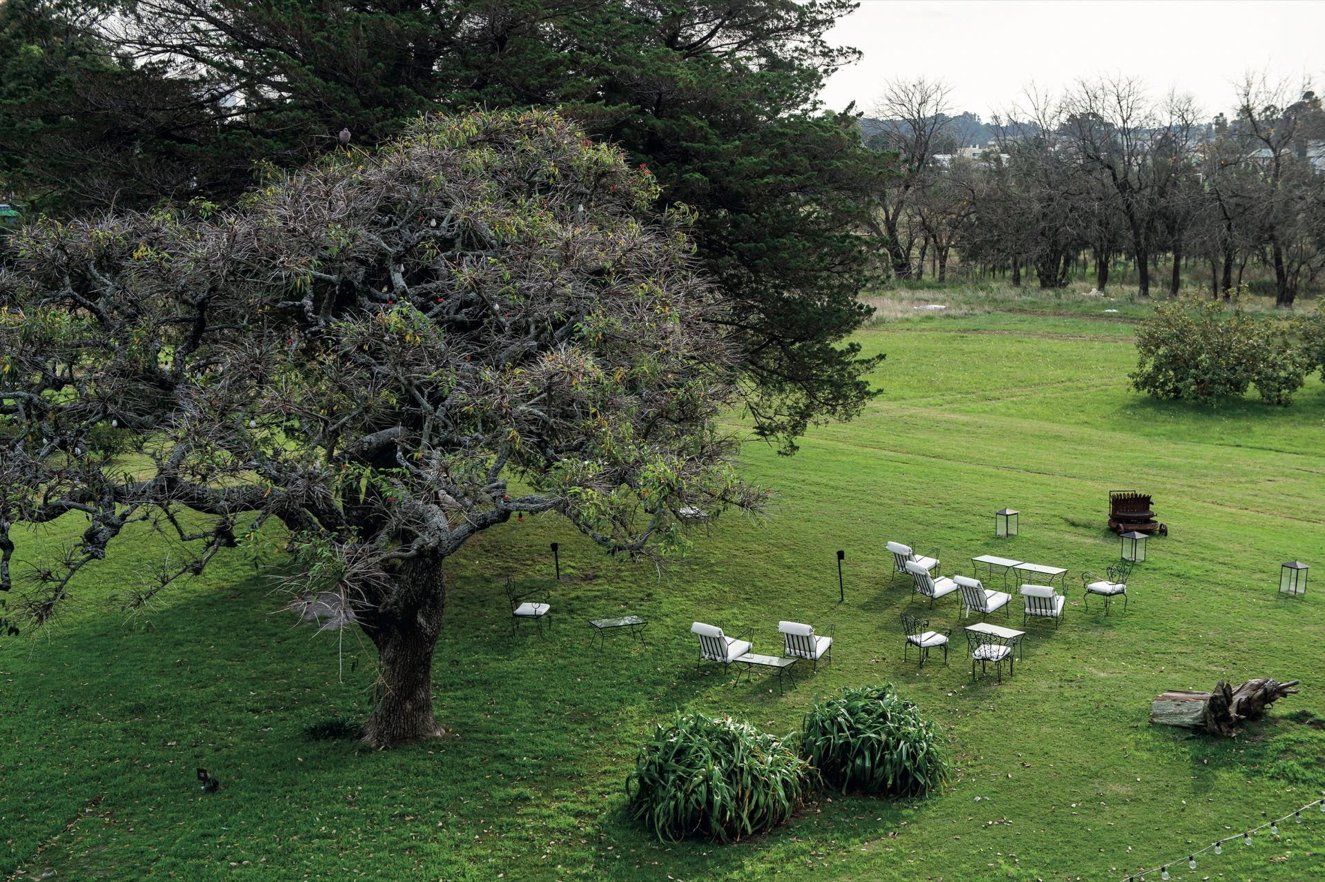 La pradera alrerededor de Comarca Las Liebres, en las colinas de Colonia del Sacramento. 