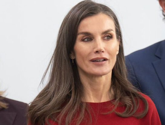 Letizia Ortiz tiene el vestido perfecto para llevar en la próxima temporada