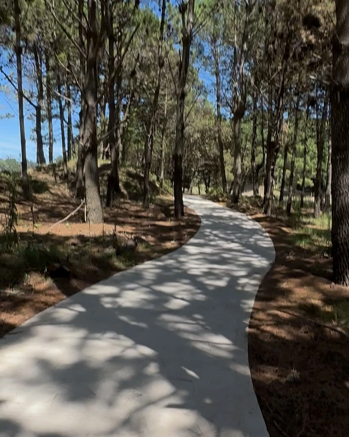 rufina y nicolás cabr