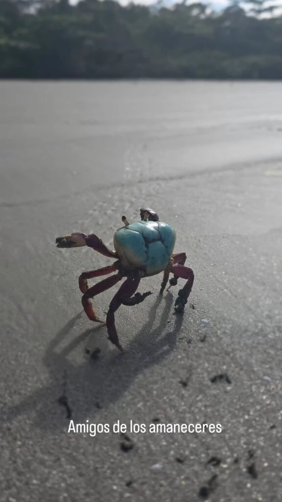 Juana Viale de vacaciones