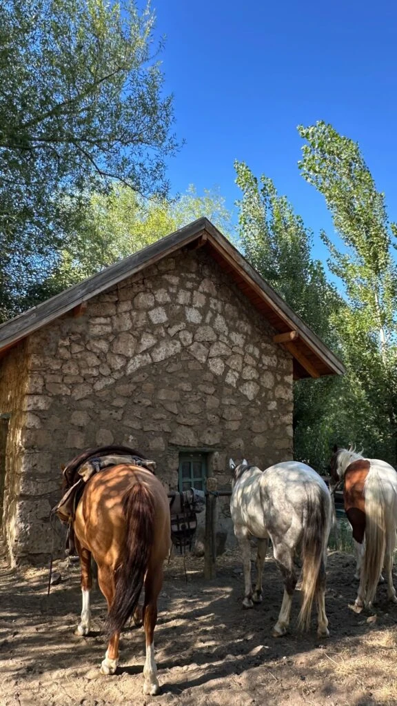 Las fotos de Juliana Awada cabalgando en la Patagonia