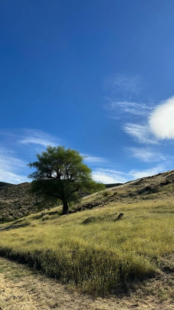 Las fotos de Juliana Awada cabalgando en la Patagonia