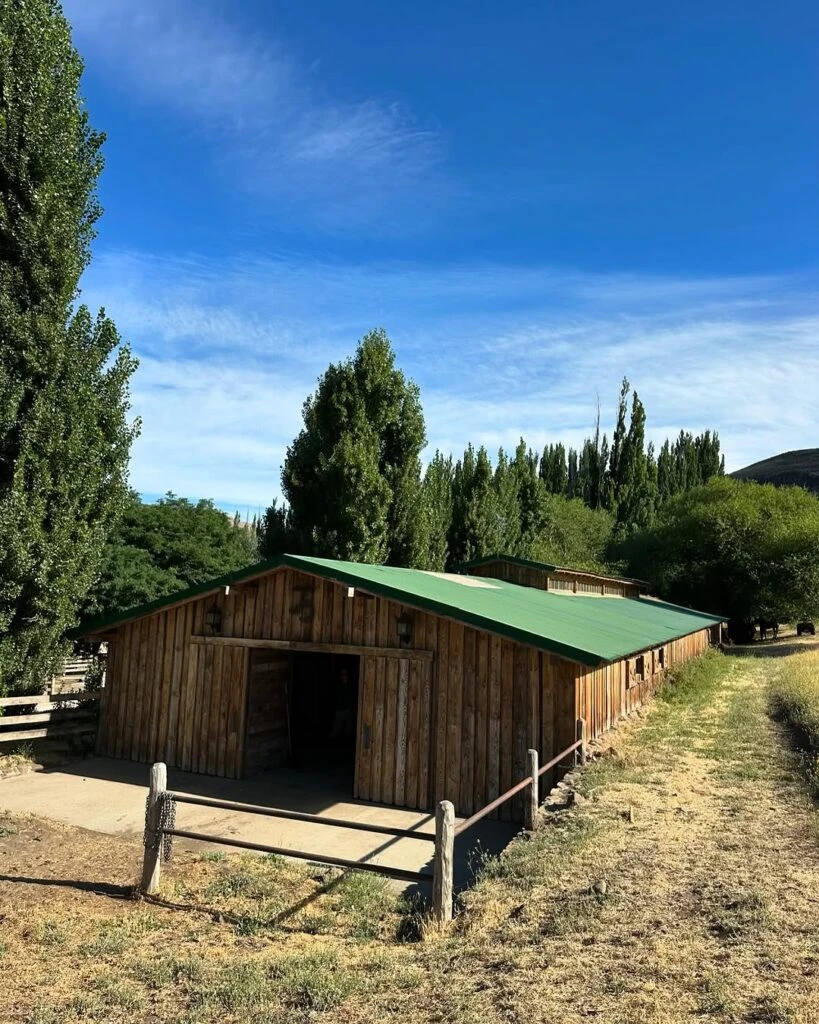 Las fotos de Juliana Awada cabalgando en la Patagonia