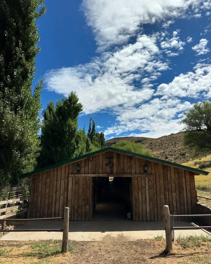 Las fotos de Juliana Awada cabalgando en la Patagonia