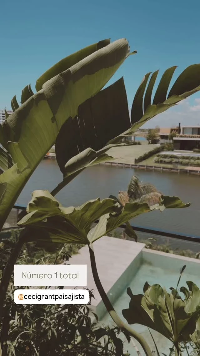 Así es la nueva casa de Darío Barassi